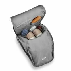 Briggs & RIley Delve Large Fold-Over Backpack -SAMSONITE Store DV170 4i 2000x df0659a8 9d49 4767 9b79 1b69d2c65b6f