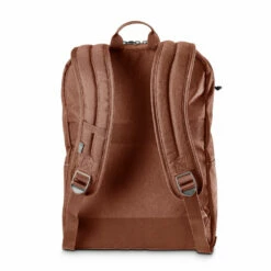 Skyway Rainier 16L Simple Backpack 21 Skyway Rainier 16L Simple Backpack -SAMSONITE Store i 3ChcLzJ XL